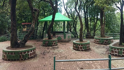 serenity of nature in the mango area