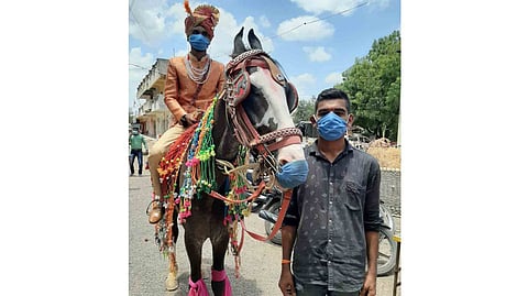 अरेच्चा..."कोरोना' ला घाबरून घोड्याने देखील लावले मास्क ! 