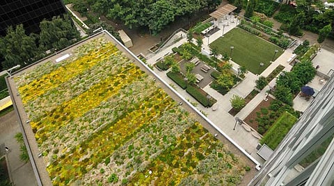 Roofed vegetable garden Chemical free vegetables are available at home