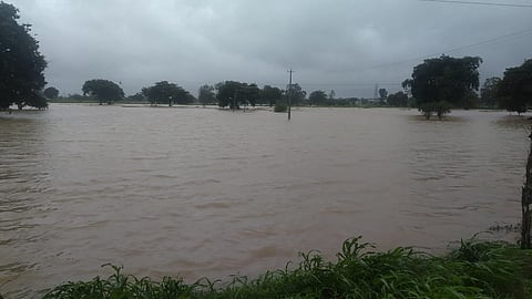Floods in Bellary Nala thousands of acres of farmland under water