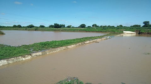 beed bandhara.jpg