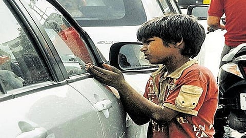 सुशिक्षित, सुसंस्कृत लोकं नियम पाळत नाही, मग केवळ भिकाऱ्यांना दोष का द्यायचा; हायकोर्टाने याचिकादाराला सुनावले... 
