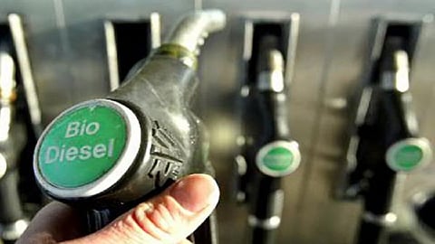 bio diesel.jpg