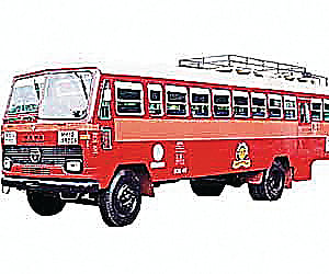 bus.jpg