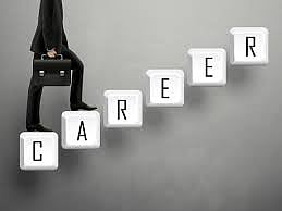  Government decision - now career portal for students