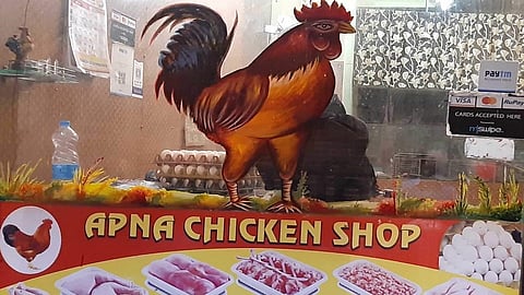 धास्ती 'बर्ड फ्लू'ची; चिकनसह अंड्याची मागणी घटली