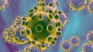 corona