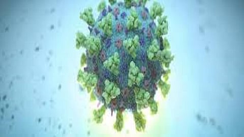 sindhudurg zp office coronavirus infected one clerk and two sepoys from the education department in the Zilla Parishad