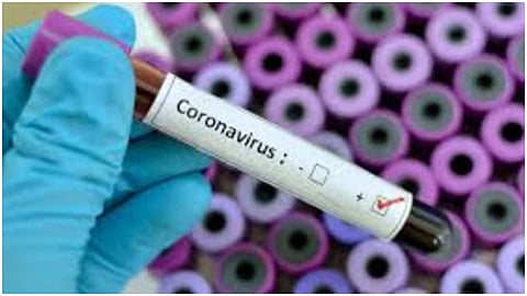 corona virus