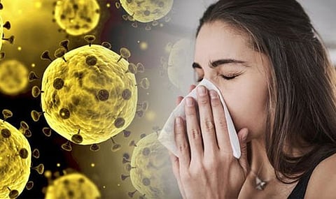 corona virus
