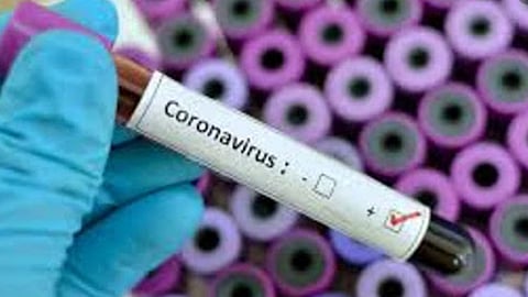 coronavirus