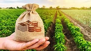 crop loan.jpg