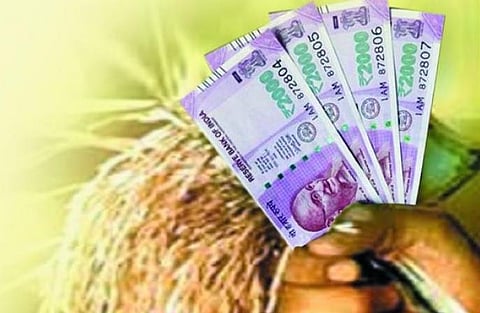 crop-loan-allocation-washim-kharip