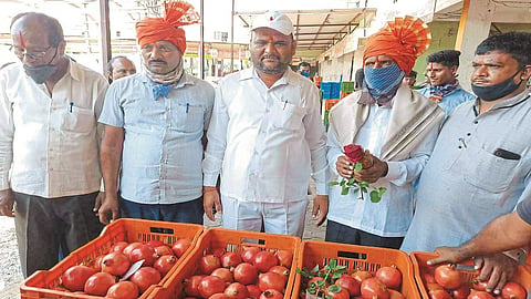  Pomegranate rate boom at Atpadi Market