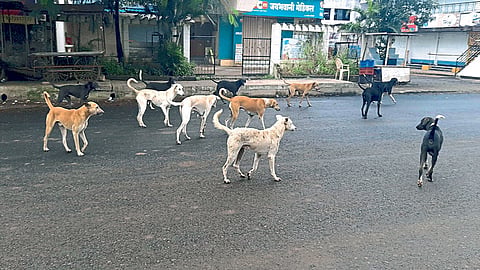 karad