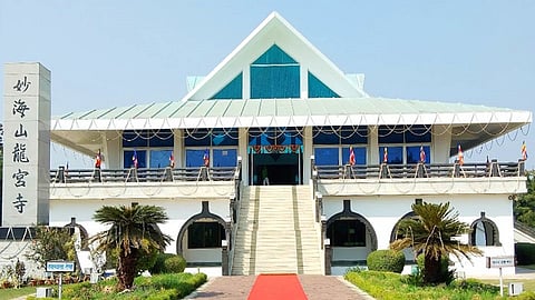 dragon palace will be open on foundation day 
