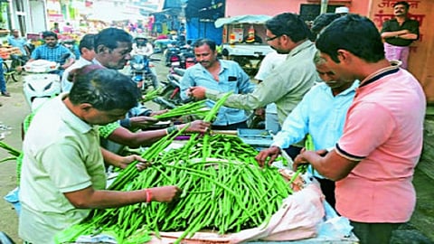 शेवग्याच्या शेंगांचा भाव उतरला 