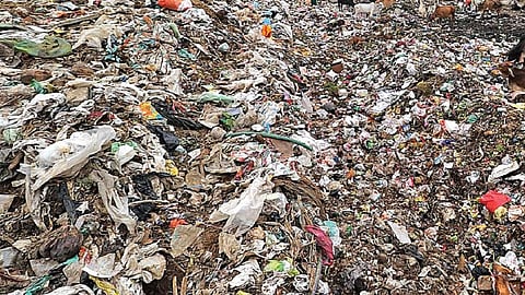 Garbage is dumped in Nagpur in Nevasa taluka