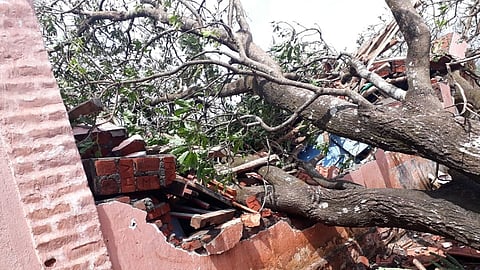 side effects of cyclone on education building in ratnagiri
