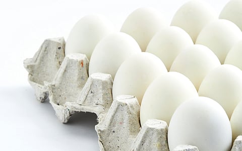 egg traders are in trouble despite of eggs demand increase in amravati