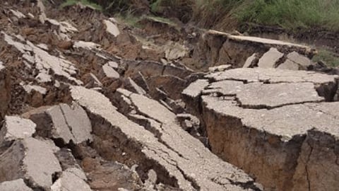 Earthquake shakes Osaka: three dead and 40 injured