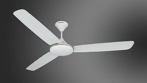 fan.