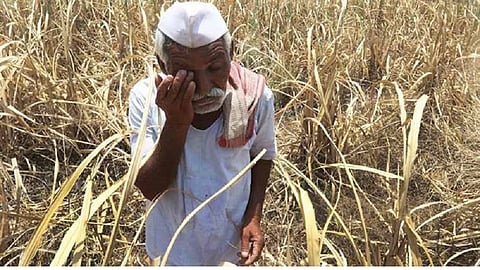 farmer vanchit.jpg