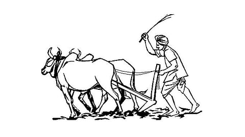 पेरणीची  घाई करु नका!;  कृषी तज्ज्ञांचे  शेतकऱ्यांना आवाहन  