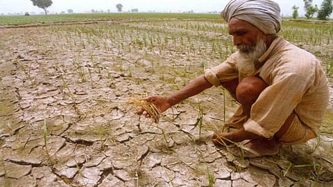 Farmers are facing crisis of double sowing