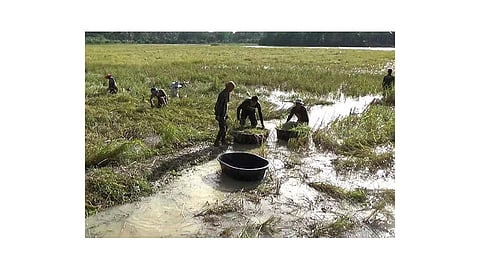 KDCC will lend 71% to flood-hit farmers kolhapur marathi news