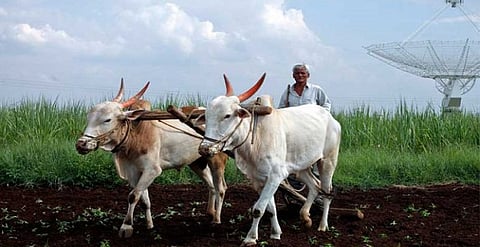 farmer-resource.jpg