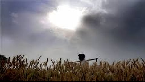 farmer facing problems because of soybean rice and cotton crop damaged 