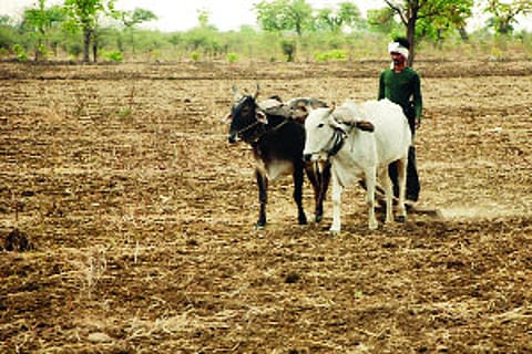 farmers in washim.jpg
