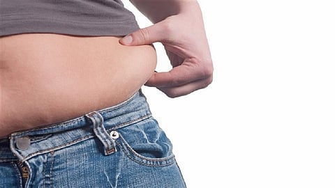 Balley Fat