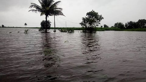 Administration's three level program in Valva taluka to fight floods
