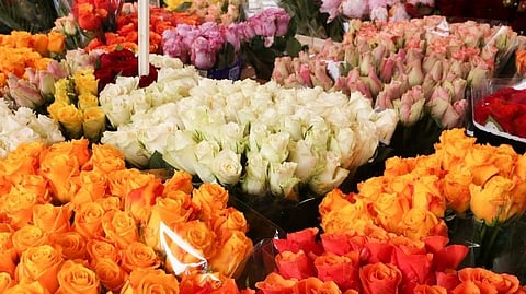 flower.