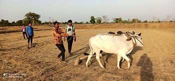 gadchiroli