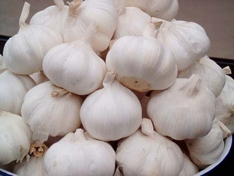 75 lakh business selling garlic sank; Five thousand workers hit