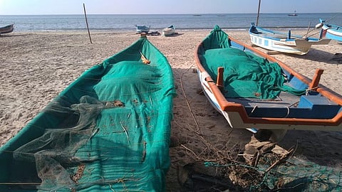 Why are gillnet fishermen on the verge of starvation
