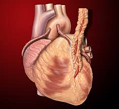 The first successful bypass of the heart in Pusad