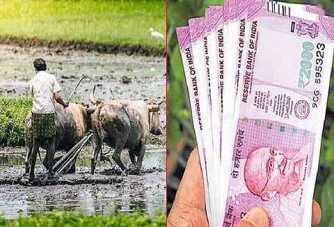 government help to farmers before diwali in yavatmal
