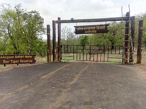हिंगणा ः पावसामुळे बंद असलेले बोर अभयारण्याचे हिंगणा तालुक्‍यातील अडेगाव प्रवेशद्वार.