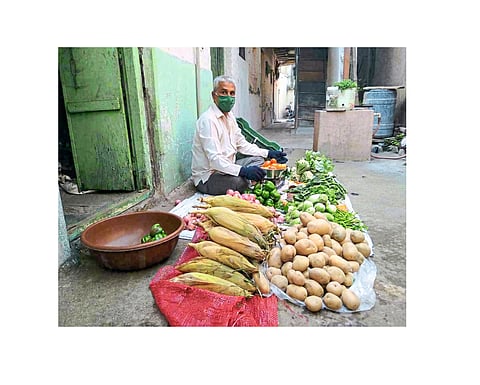 New Employment Found From Selling Vegetables In The Textile City Kolhapur Marathi News