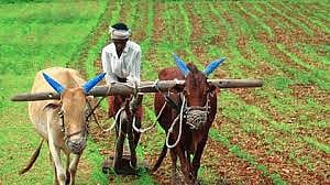 शेतकऱ्यांसाठी खूशखबर ! आचारसंहितेआधी मिळणार नुकसान भरपाई