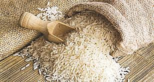 rice 