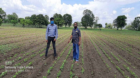 Need of new experiments in agriculture