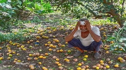 Farmers are demanding financial help for their loss 