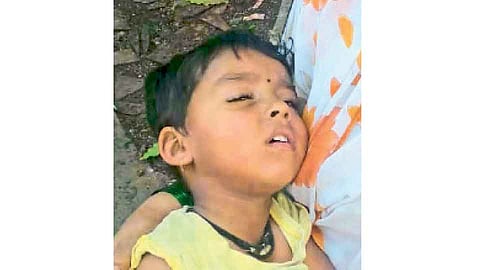 Jotiba Tempel Children The Bitching Dog Careful Going Kolhapur Marthi News