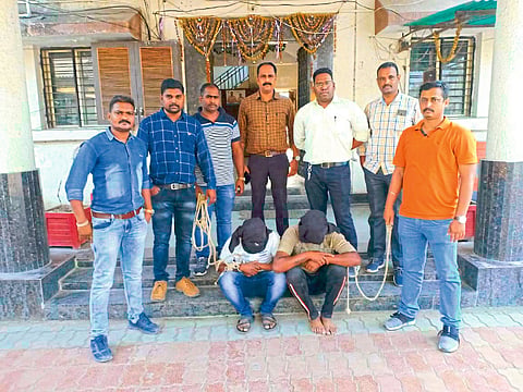 कामठी : सामूहिक अत्याचार प्रकरणातील पोलिसांनी अटक केलेले आरोपी.
