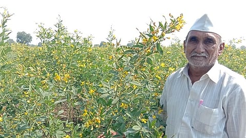 agriculture news